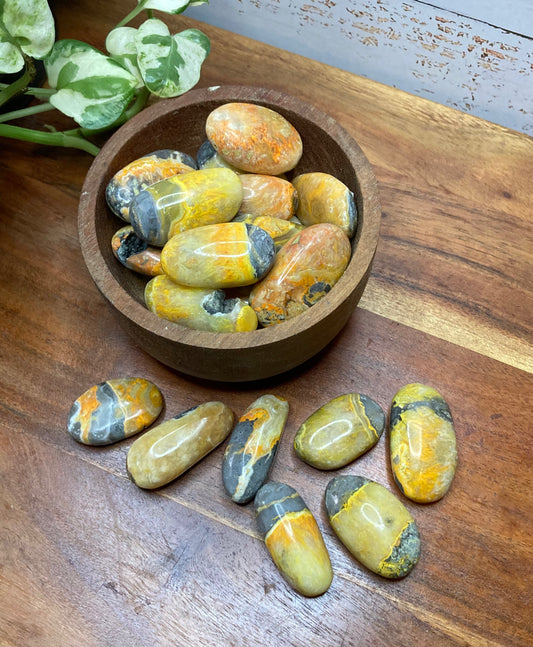 Bumblebee Jasper Tumbles