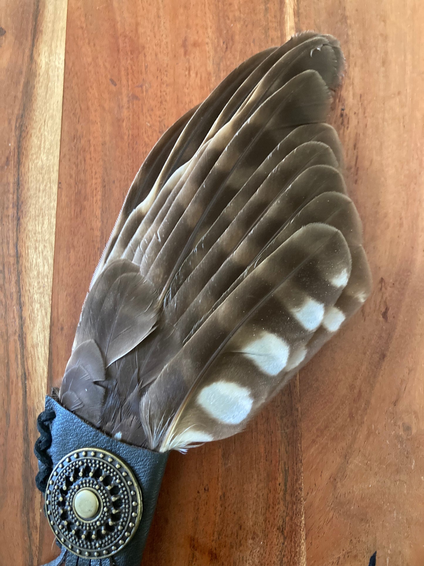 Book book Owl Smudging Fan