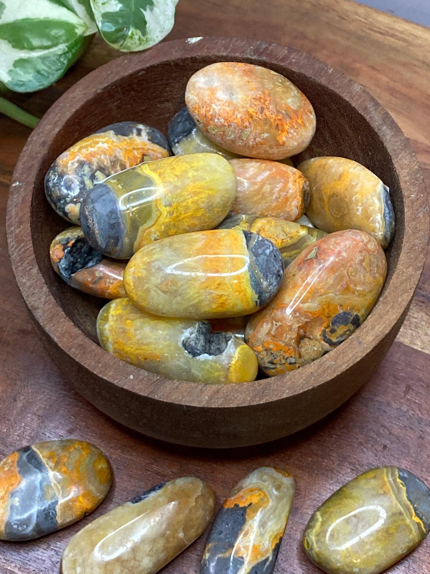 Bumblebee Jasper Tumbles