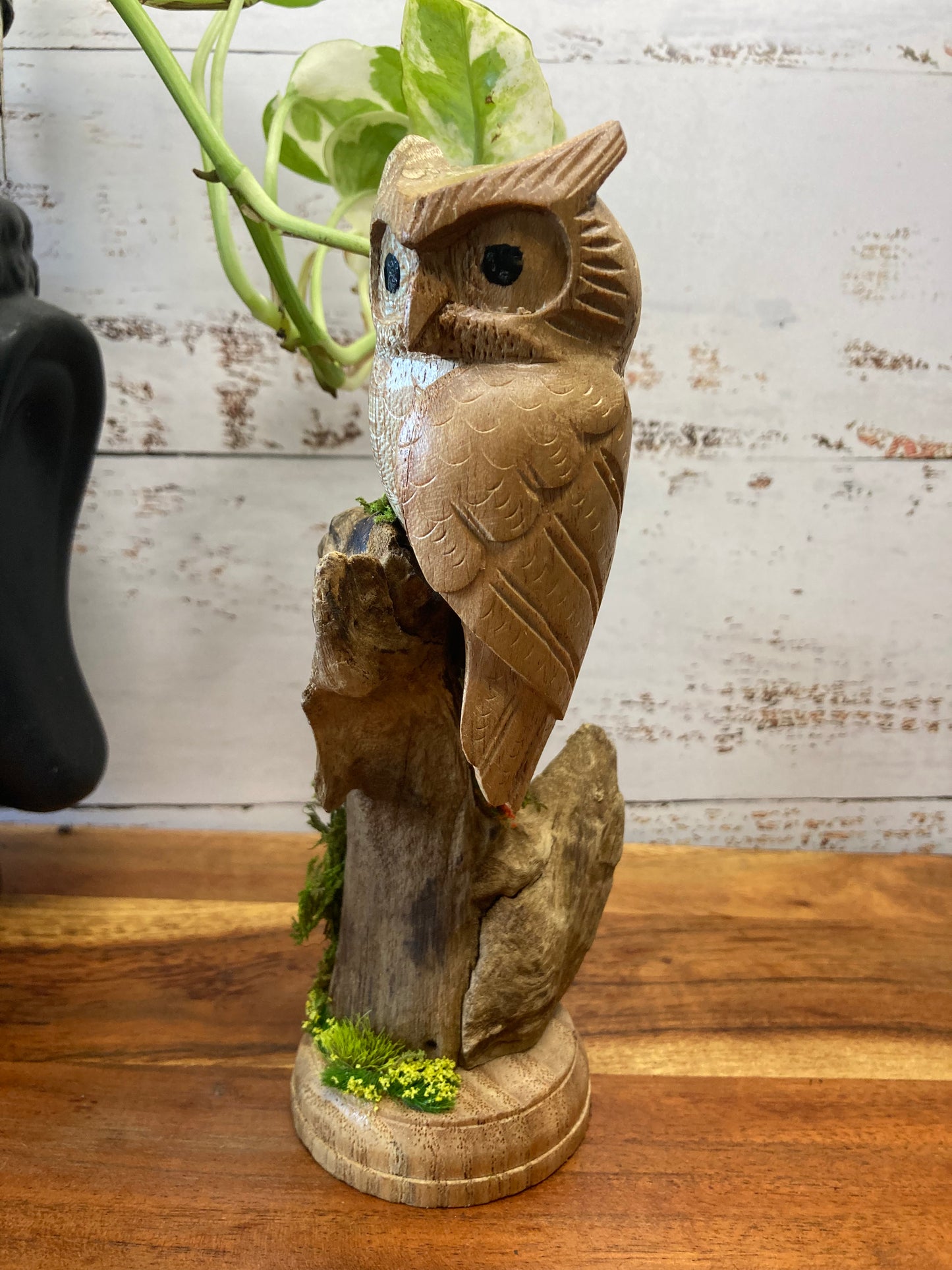 Owl in Crystal Garden