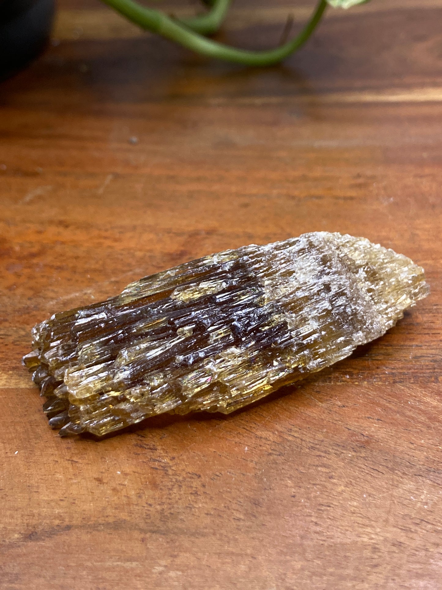 Amber Dogtooth Calcite
