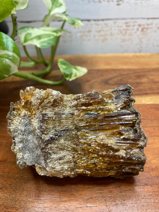 Amber Dogtooth Calcite