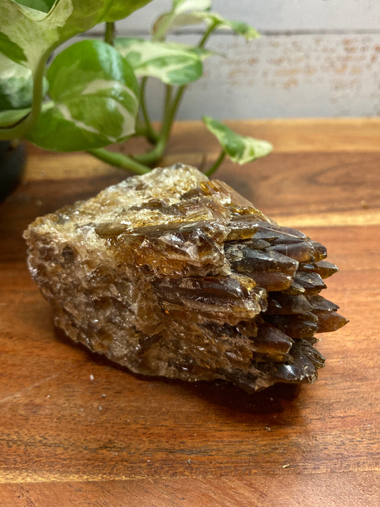 Amber Dogtooth Calcite