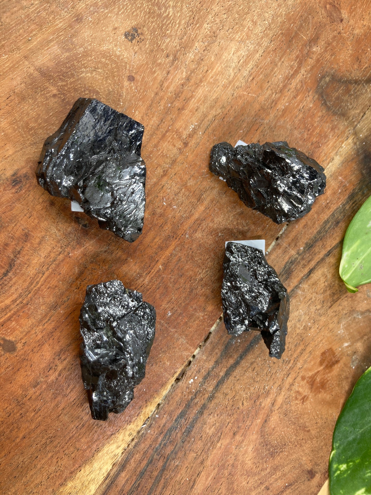 Nobel Shungite