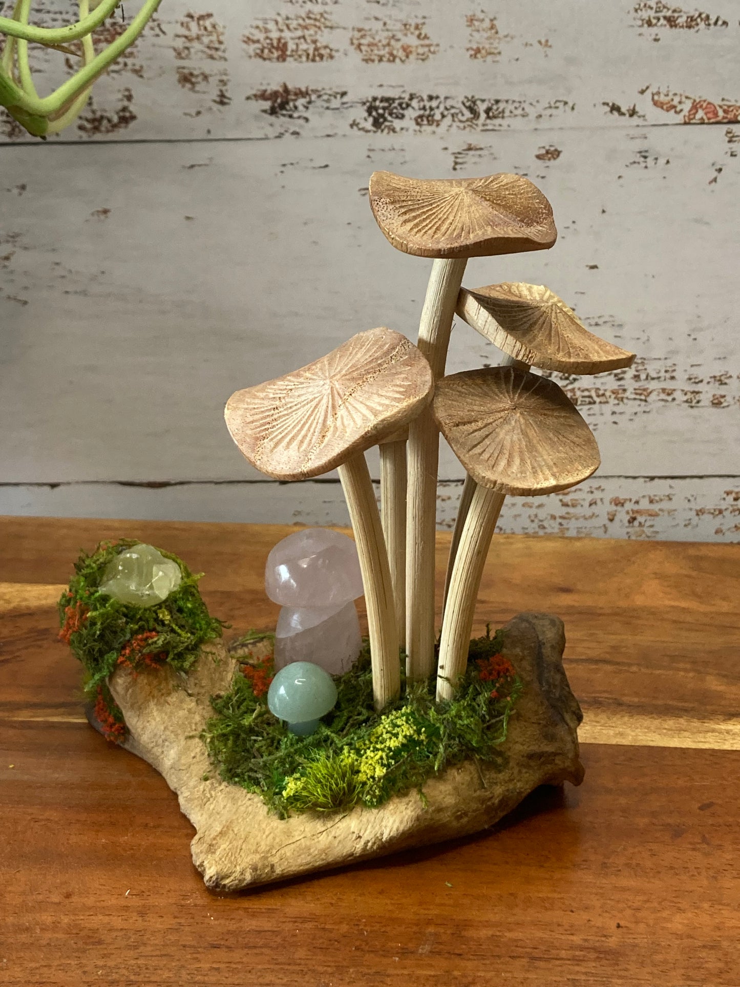Mushroom Cluster