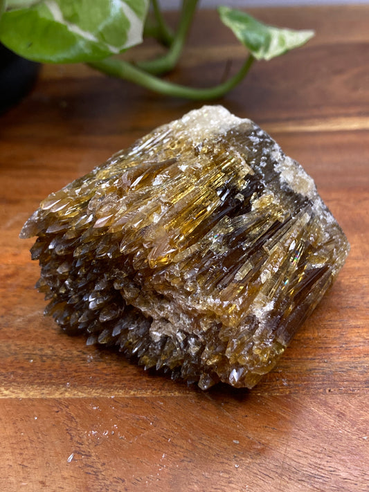 Amber Dogtooth Calcite