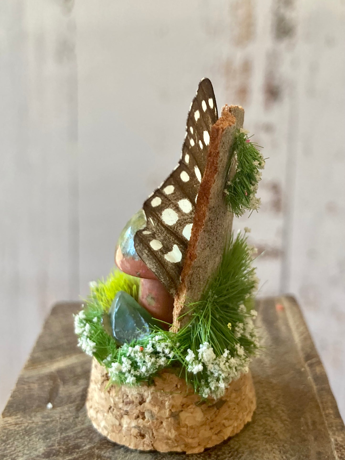 Unakite Mushroom terrarium