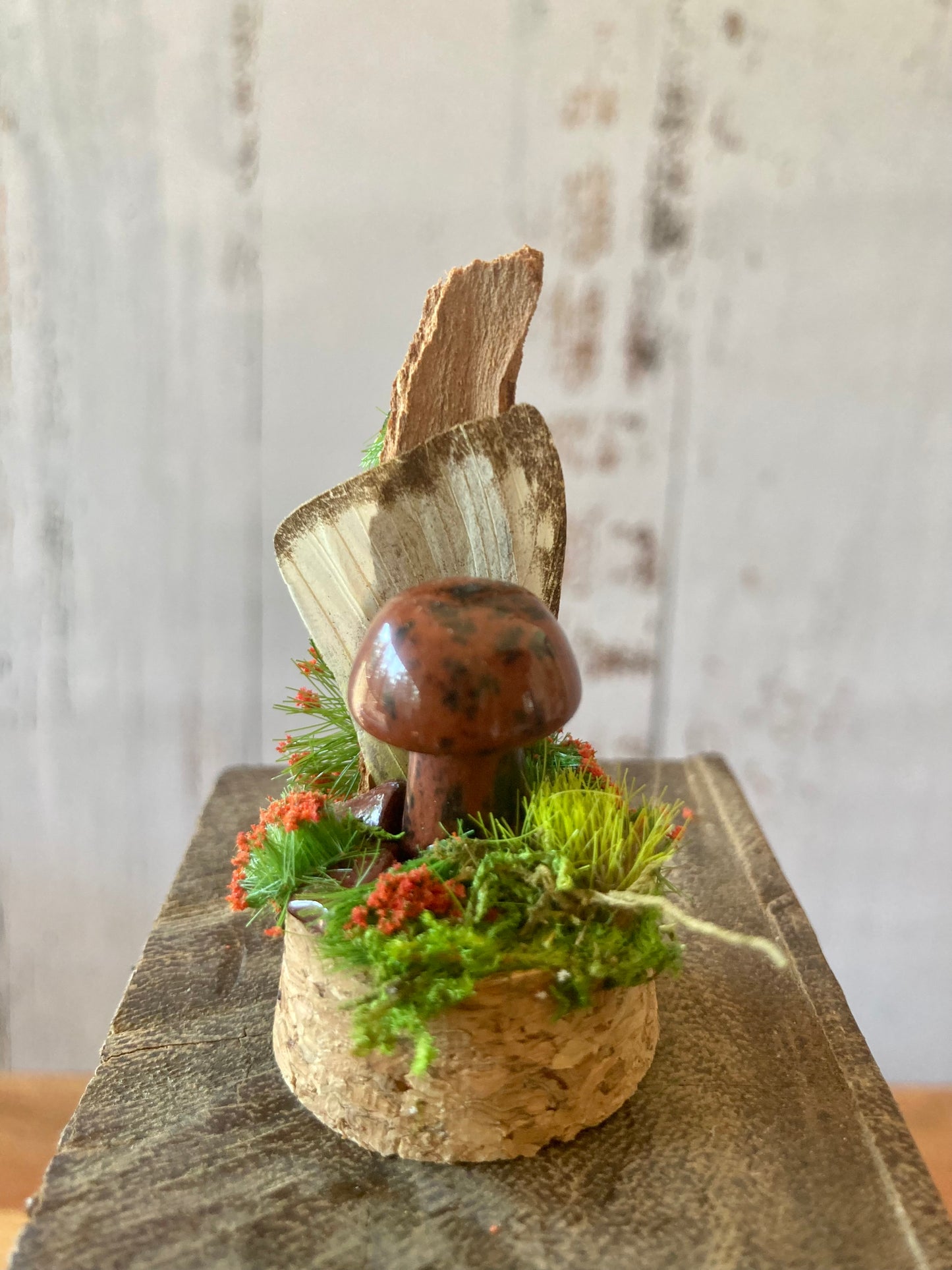 Mahogany Obsidian Mushroom terrarium