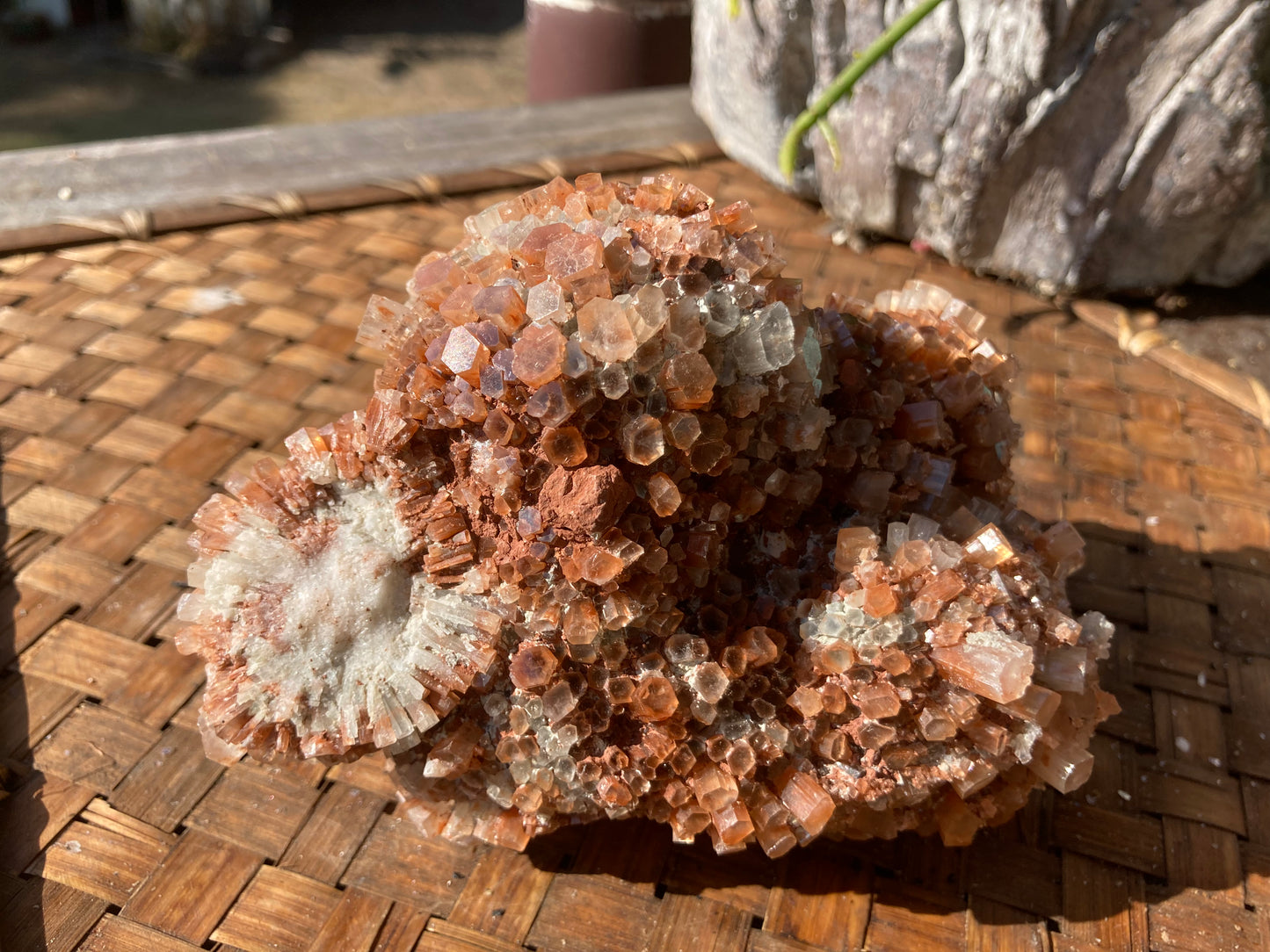 Aragonite Sputnik