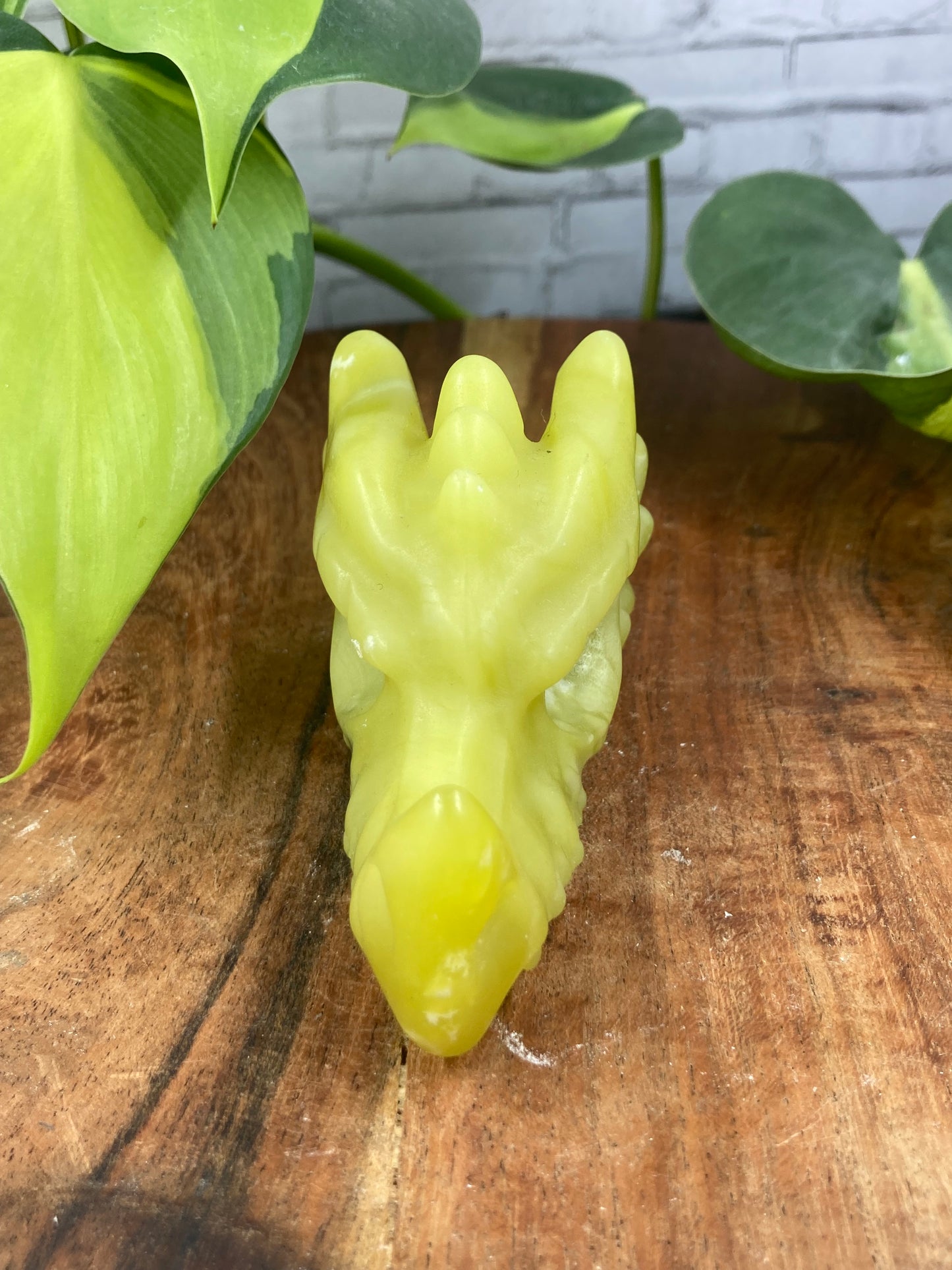 Lemon Calcite Dragon Skull