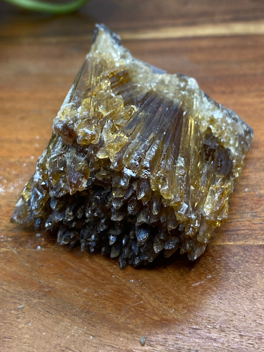 Amber Dogtooth Calcite