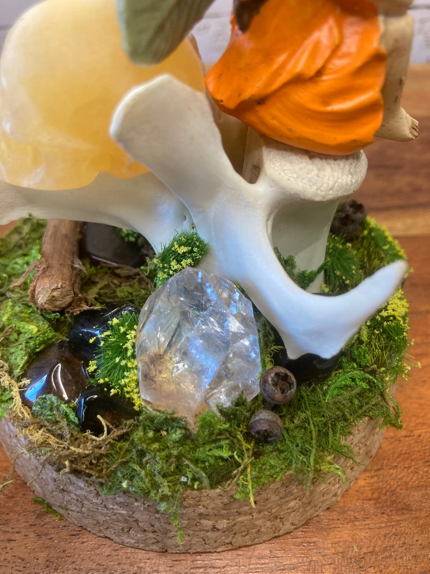 Fairy Bone Garden
