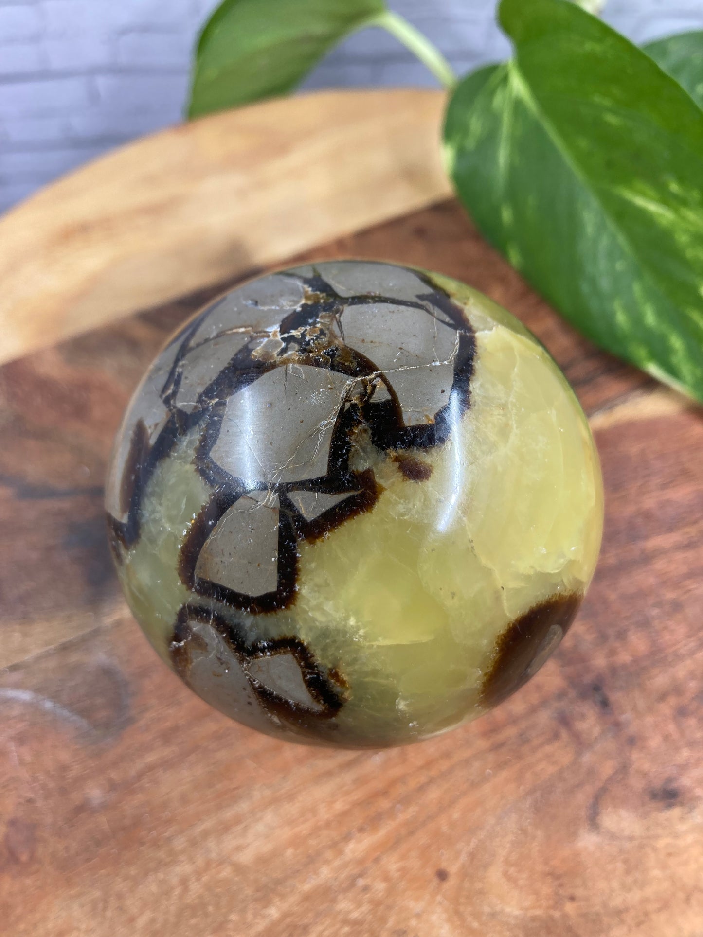 Septarian Sphere