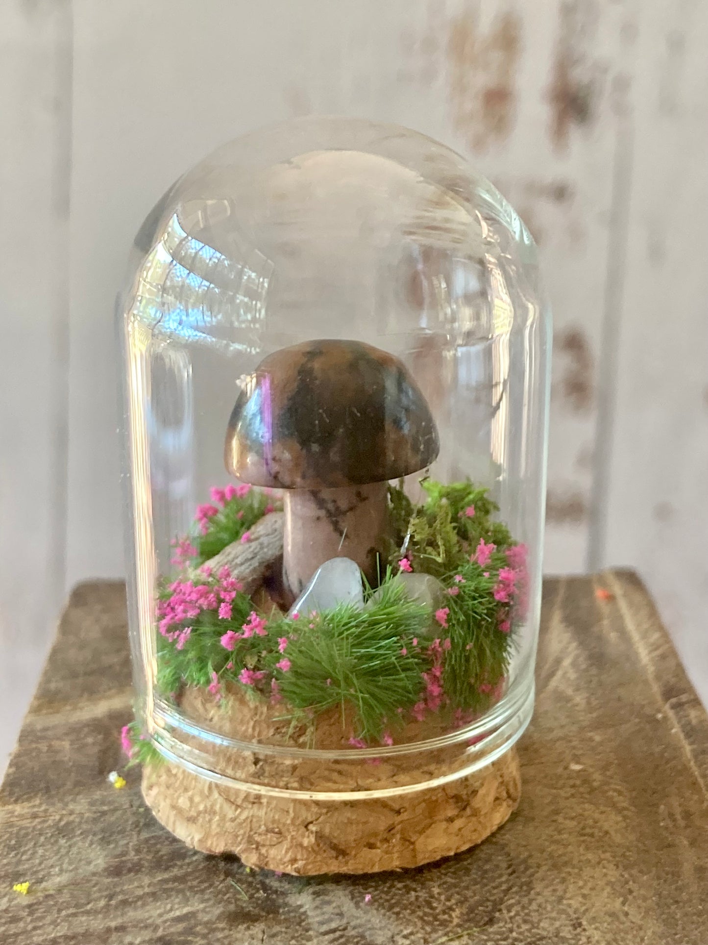 Rhodonite Mushroom terrarium
