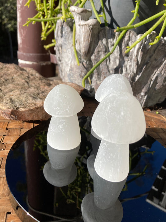 Selenite Mushroom