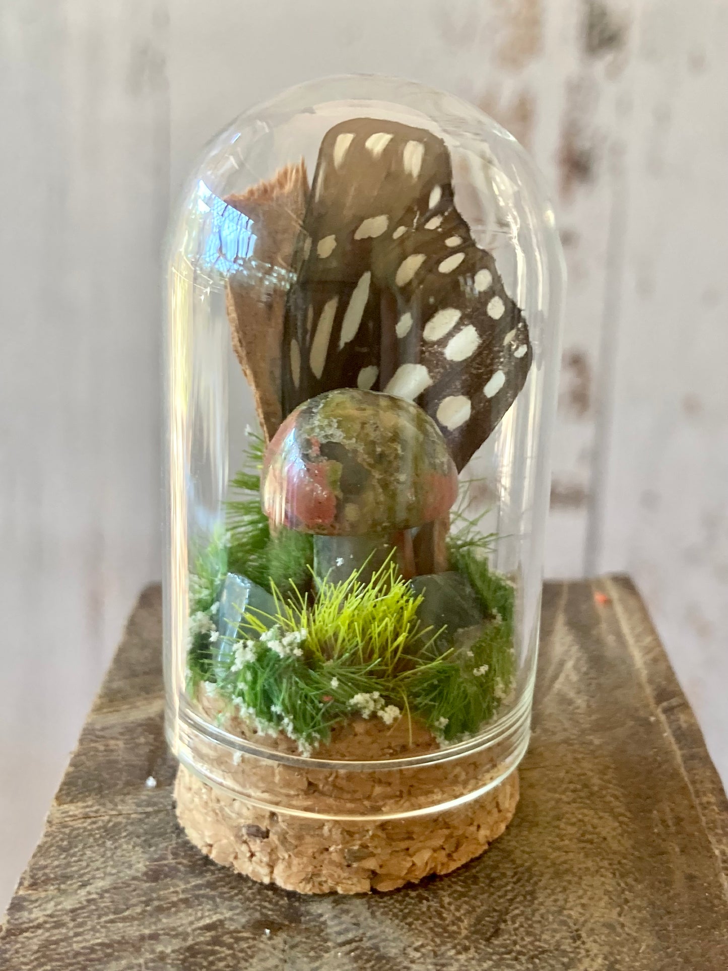 Unakite Mushroom terrarium