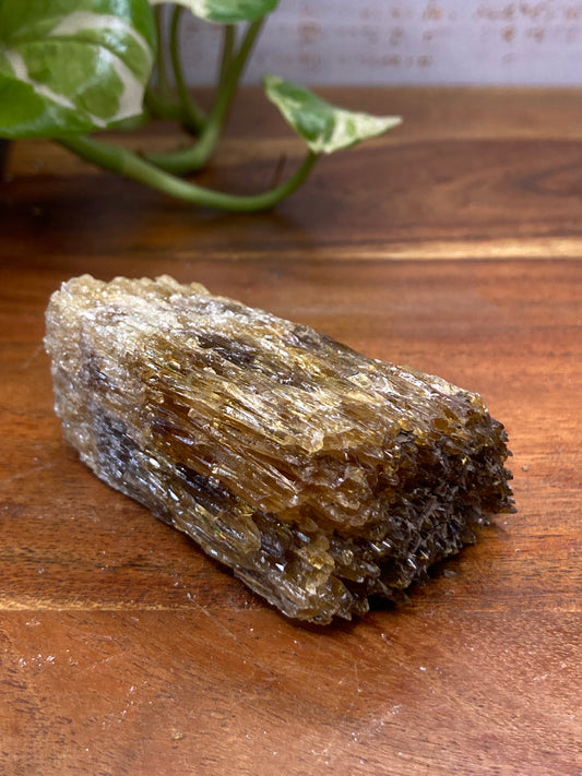 Amber Dogtooth Calcite