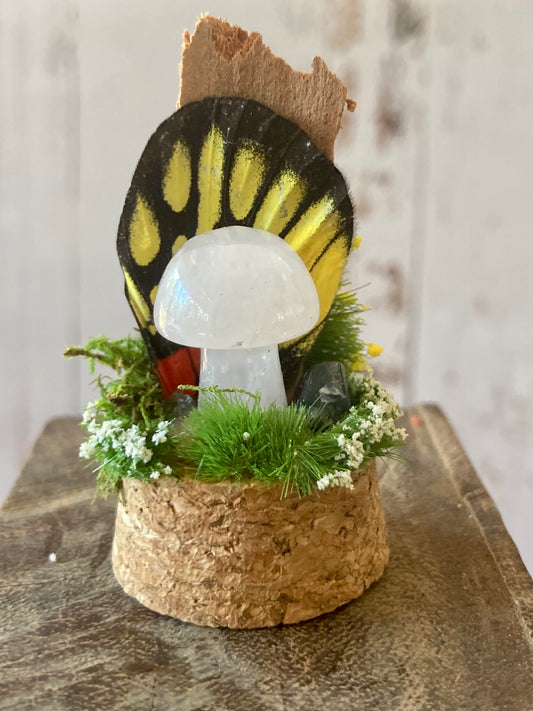 Rose Quartz Mushroom terrarium