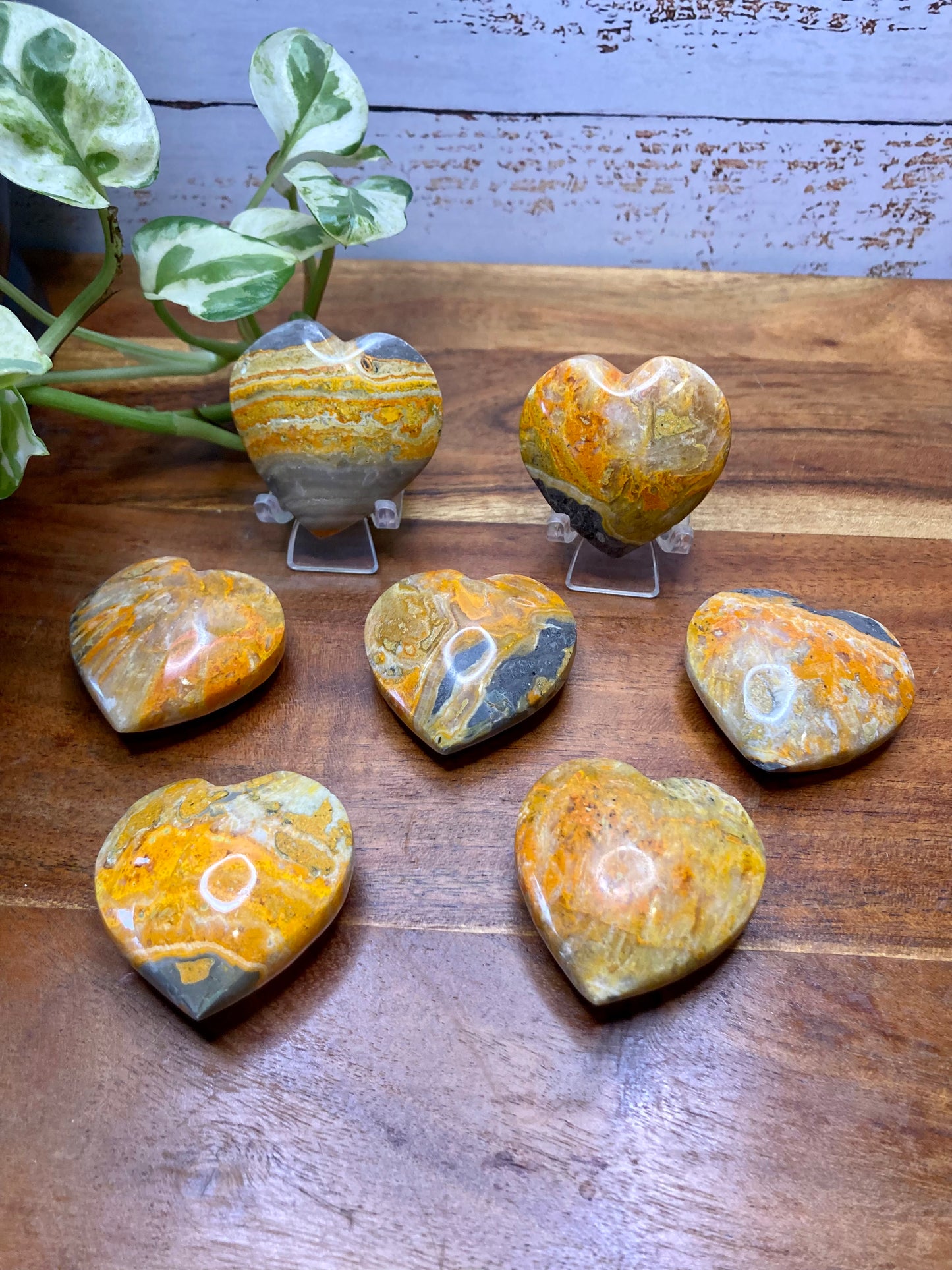 Bumblebee Jasper Hearts