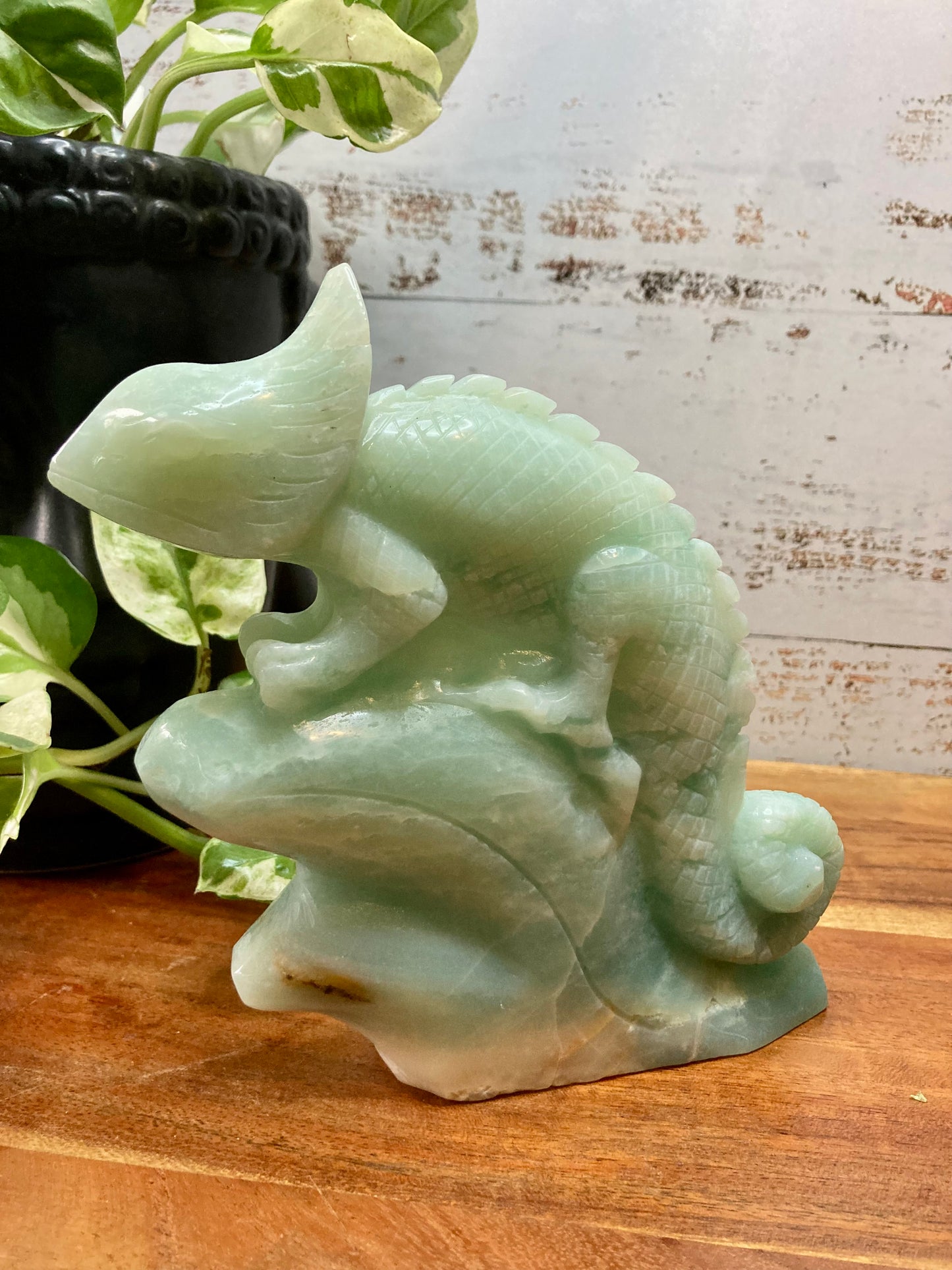 Amazonite Carved Chameleon