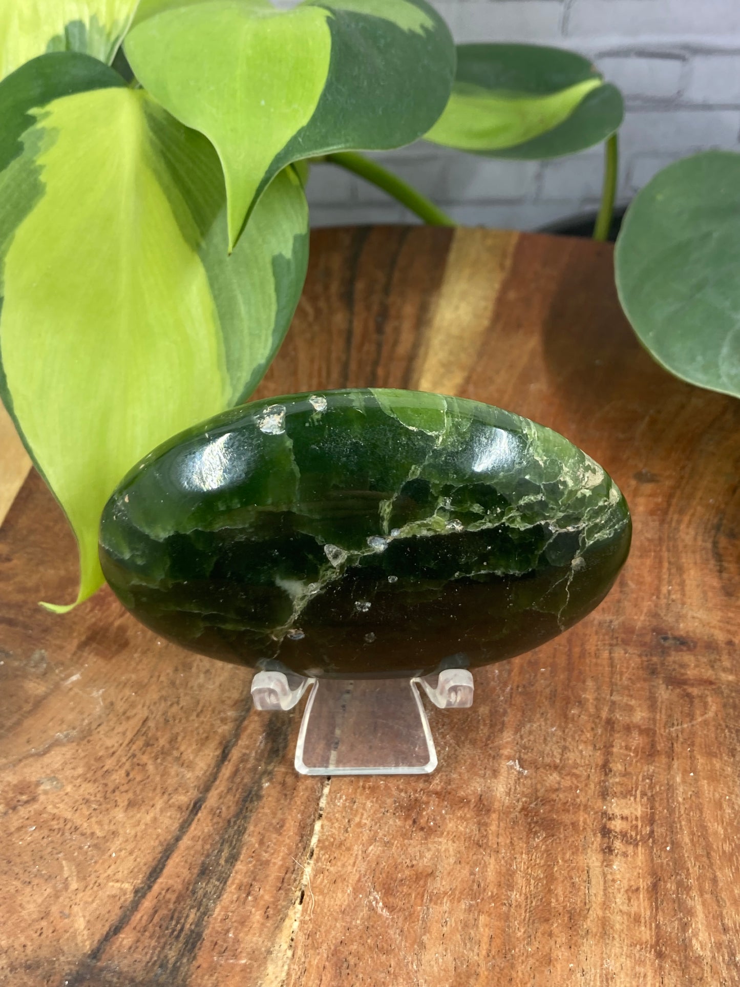 Tremolite Palm Stone