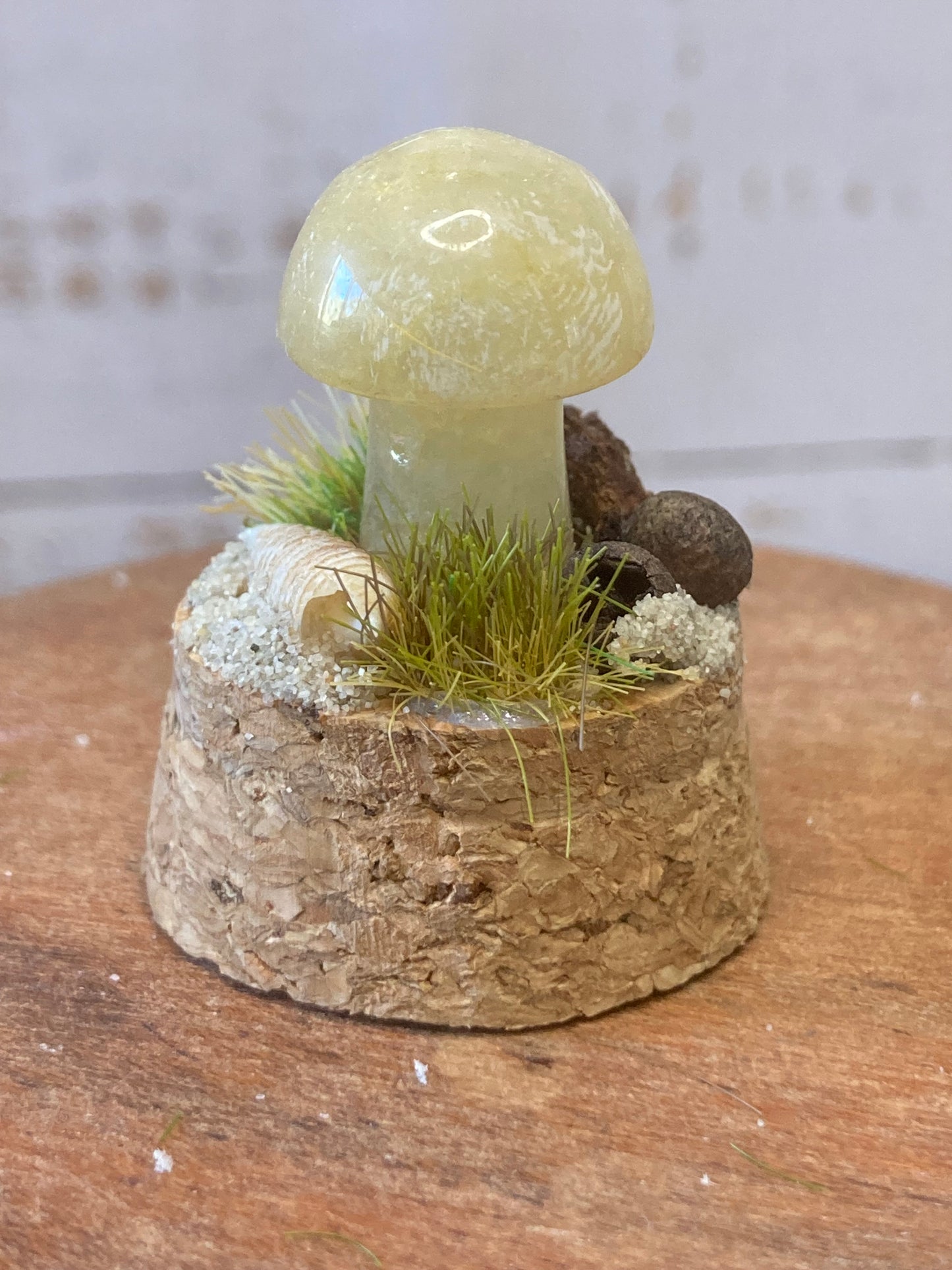 Orange Calcite Mushroom terrarium