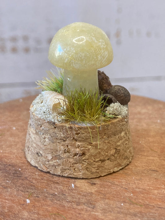 Orange Calcite Mushroom terrarium