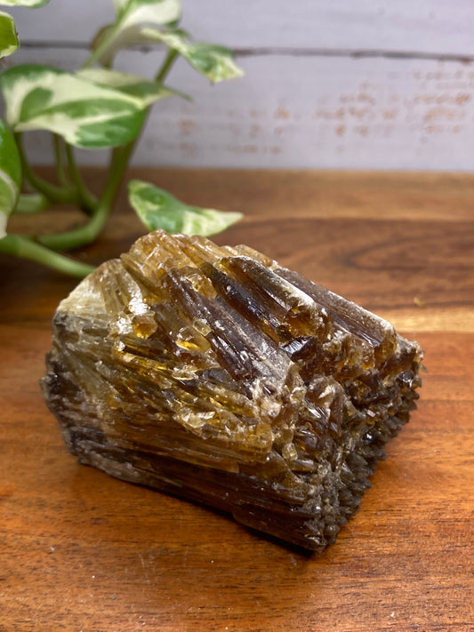 Amber Dogtooth Calcite