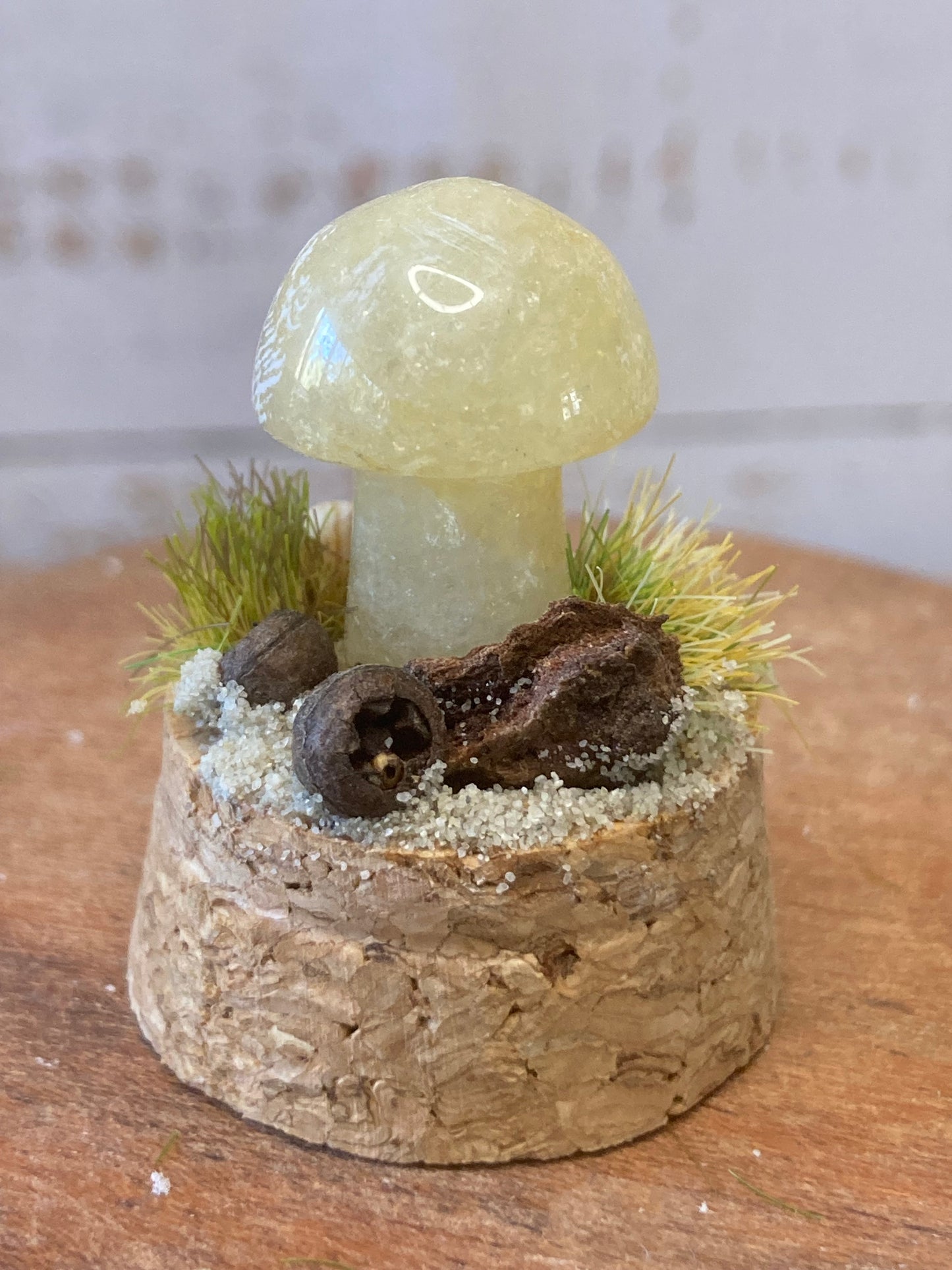 Orange Calcite Mushroom terrarium