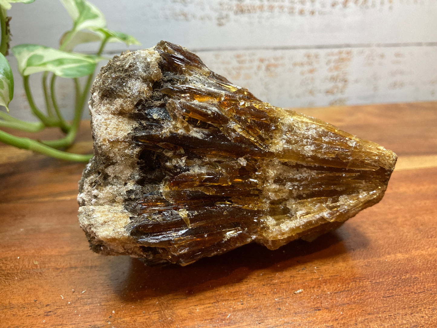 Amber Dogtooth Calcite