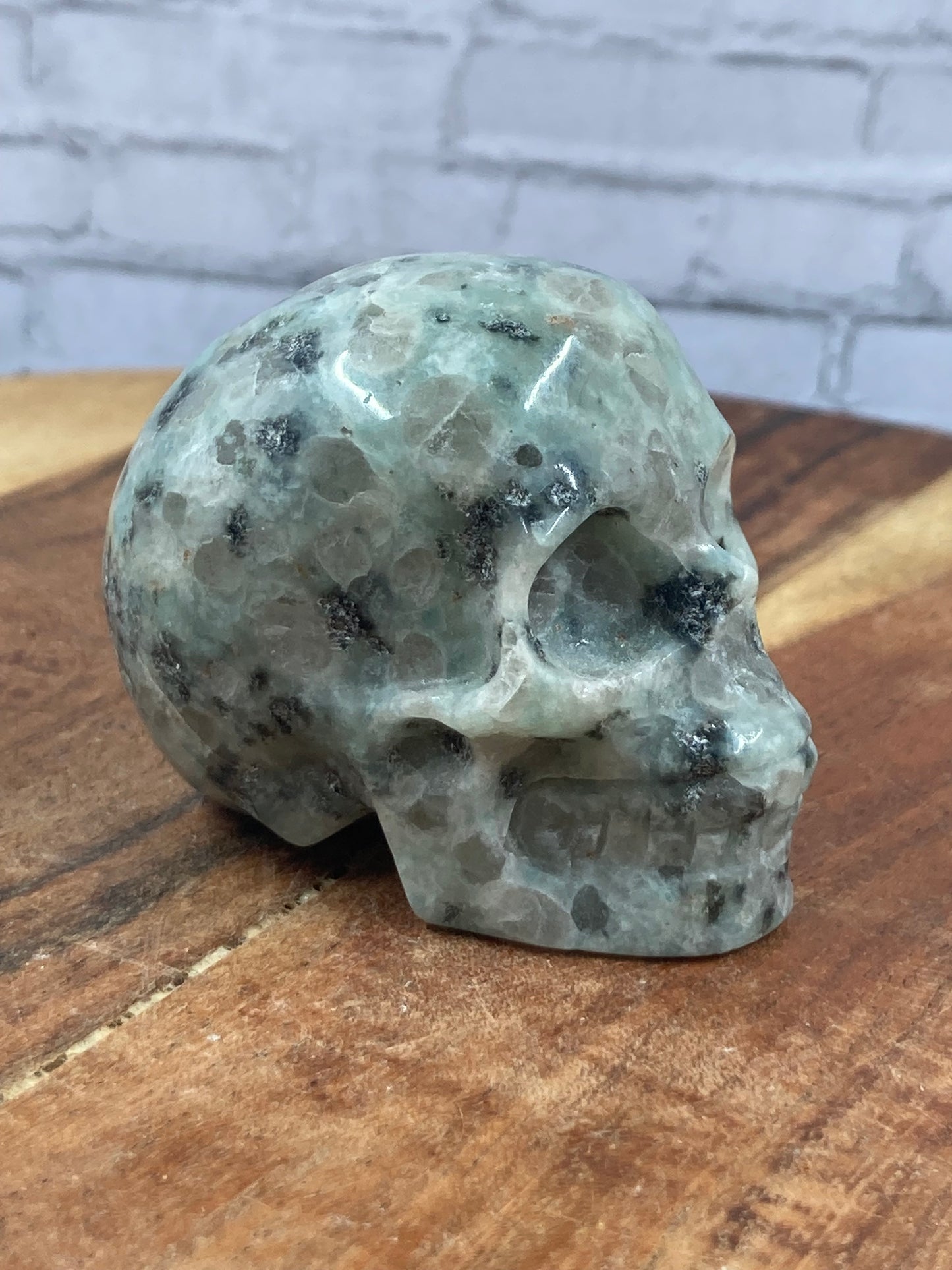 Kiwi Jasper Skull