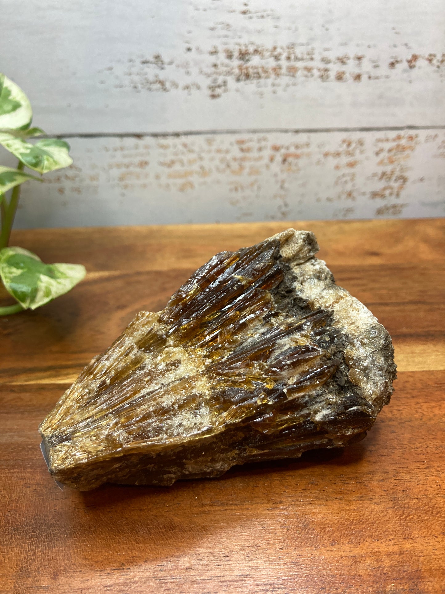 Amber Dogtooth Calcite