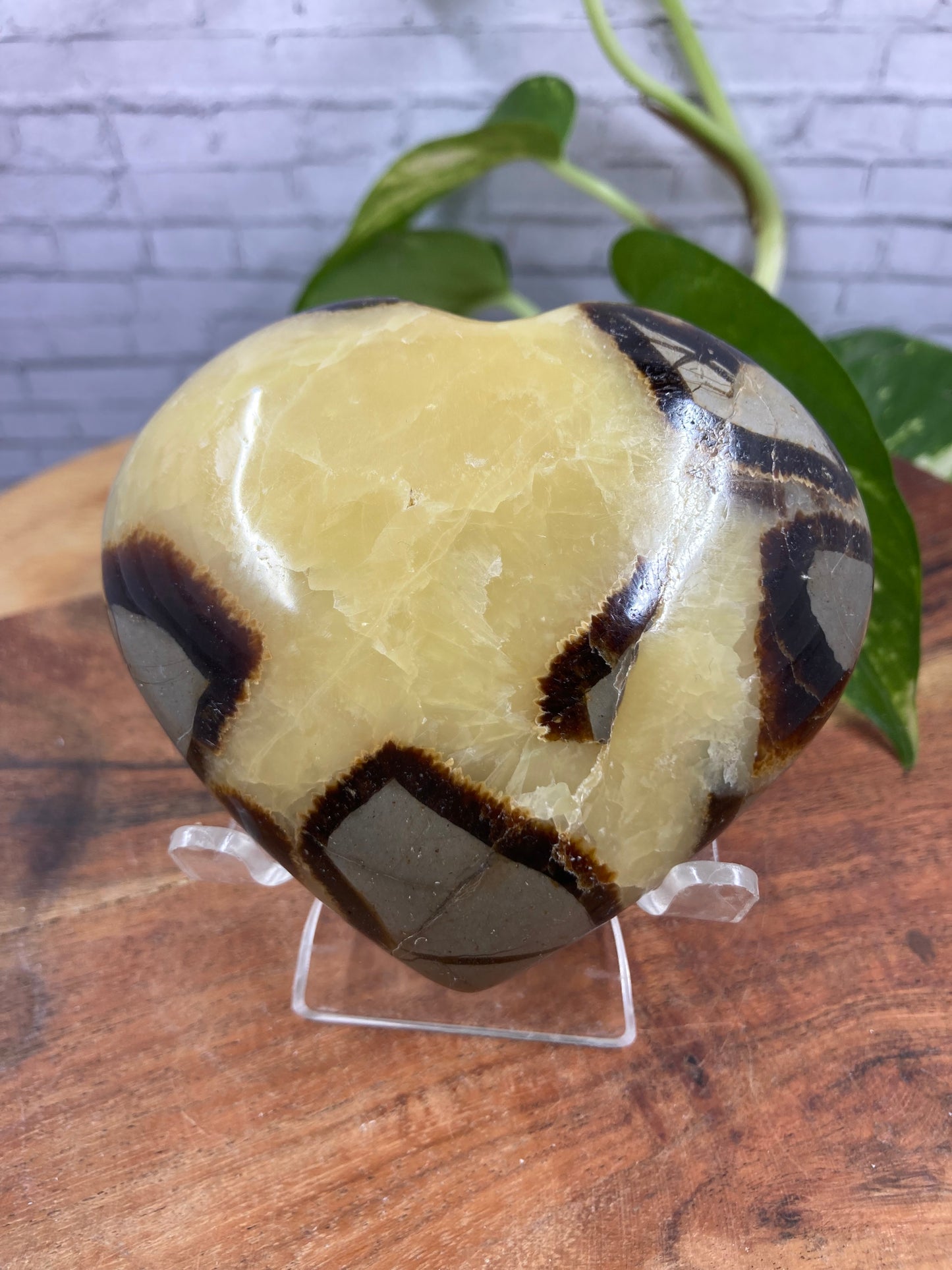 Septarian Heart