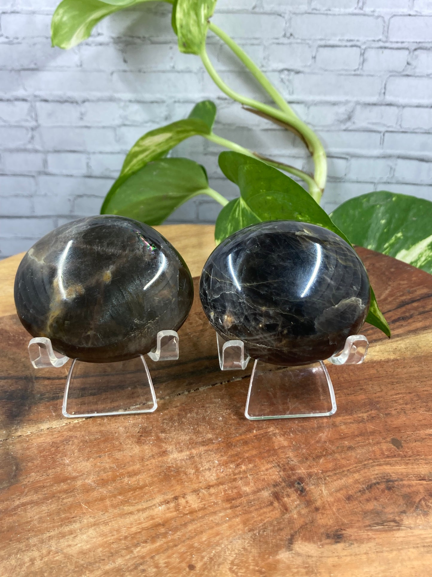 Black Moonstone Palmstone