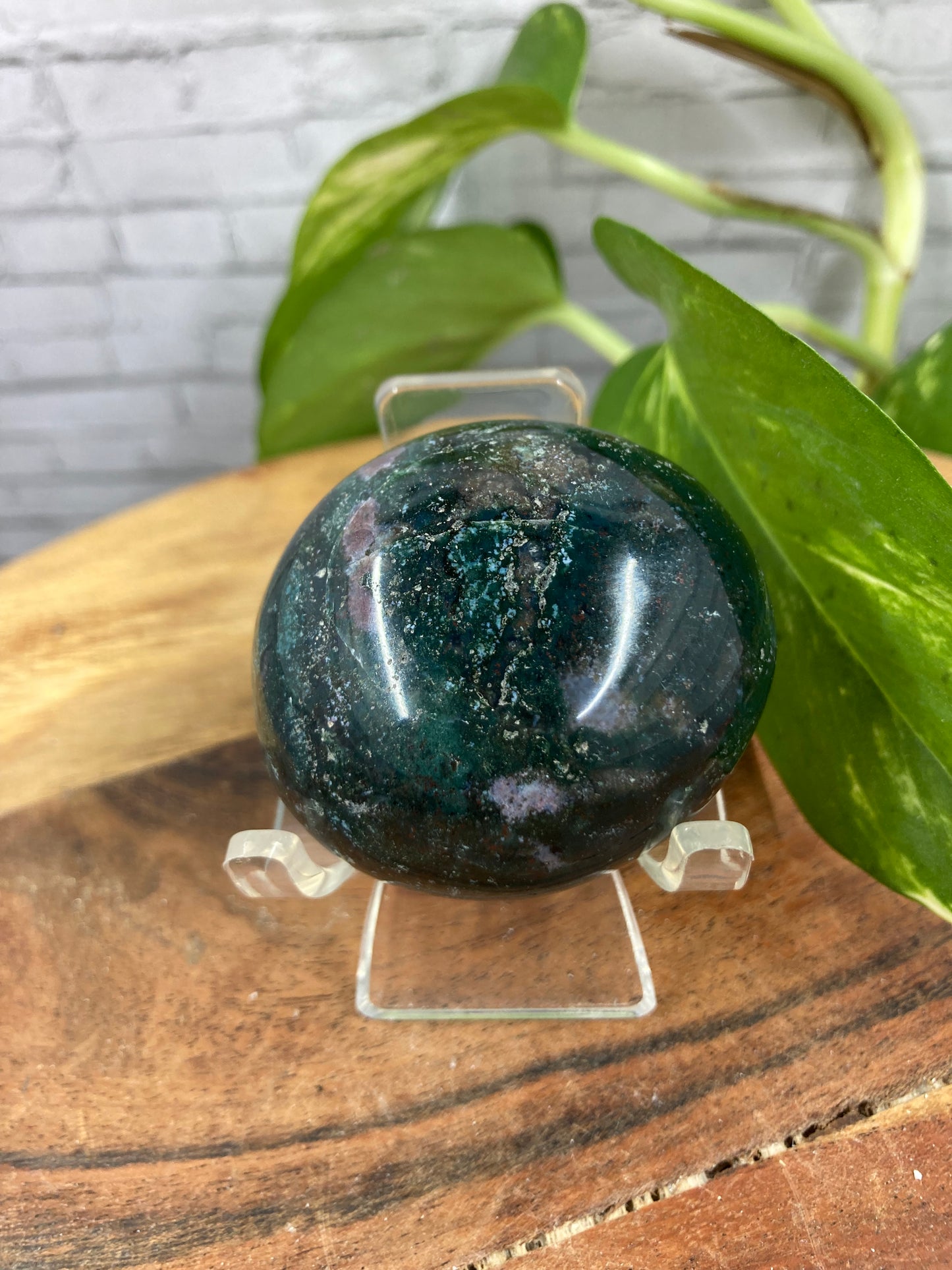 Ocean Jasper Palmstone