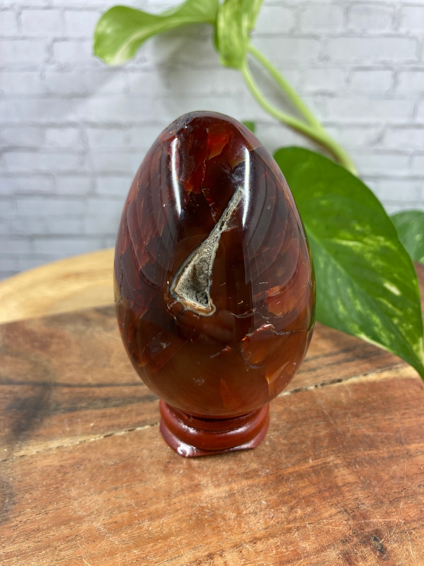 Carnelian Egg