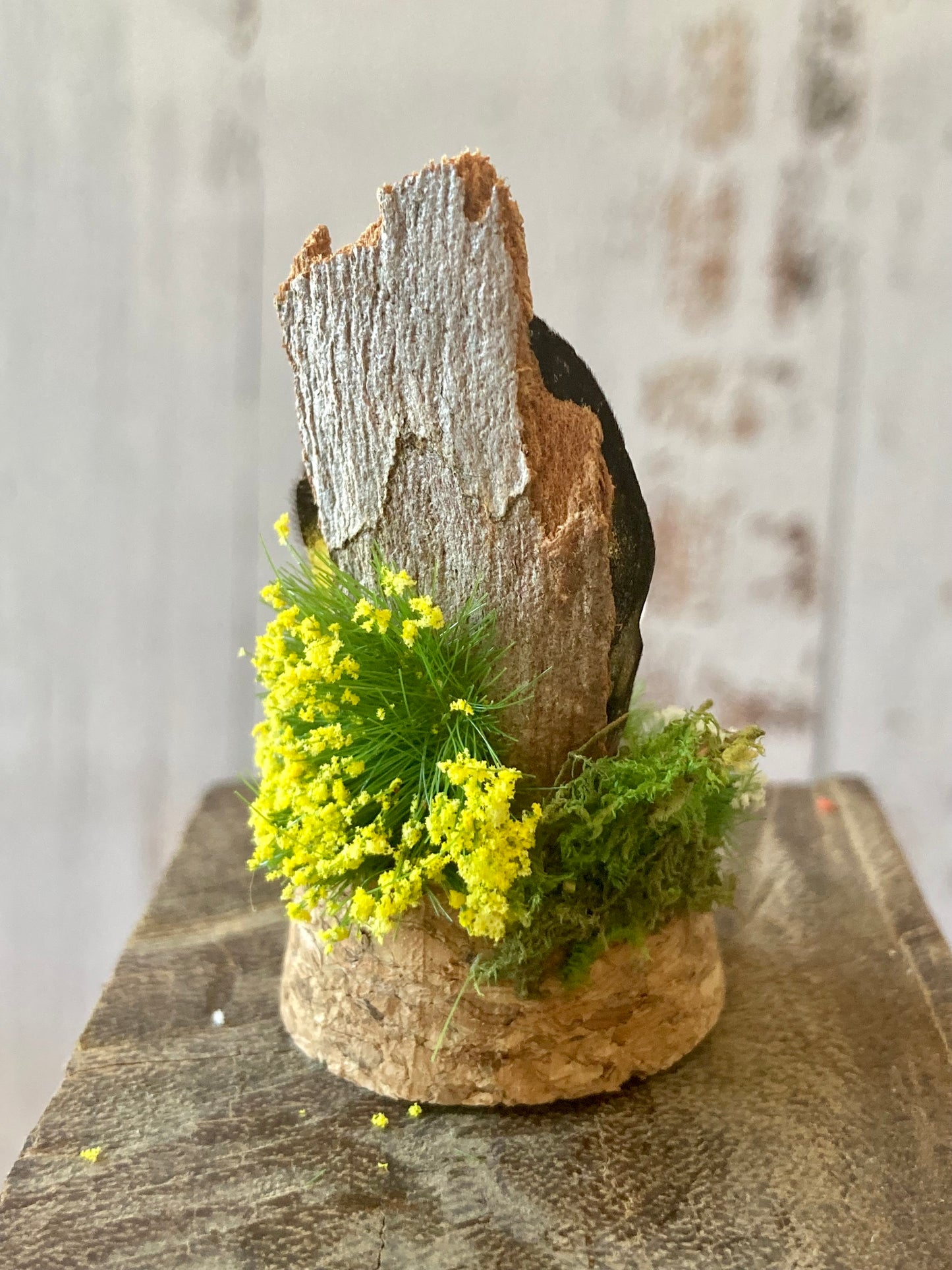 Rose Quartz Mushroom terrarium