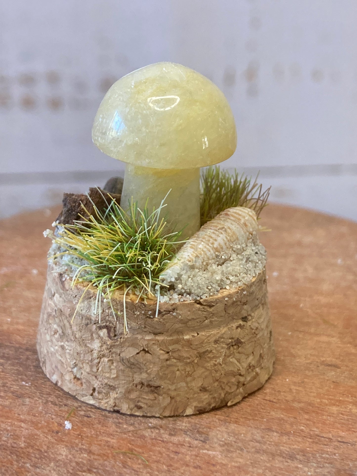Orange Calcite Mushroom terrarium