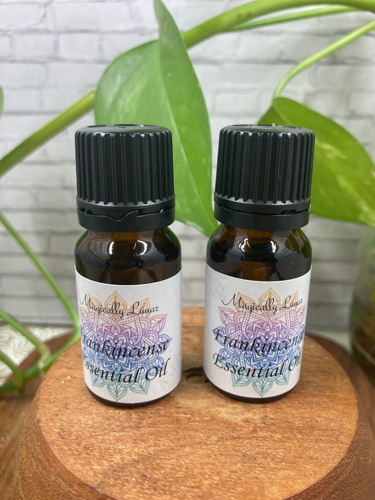 Frankincense Essential Oil