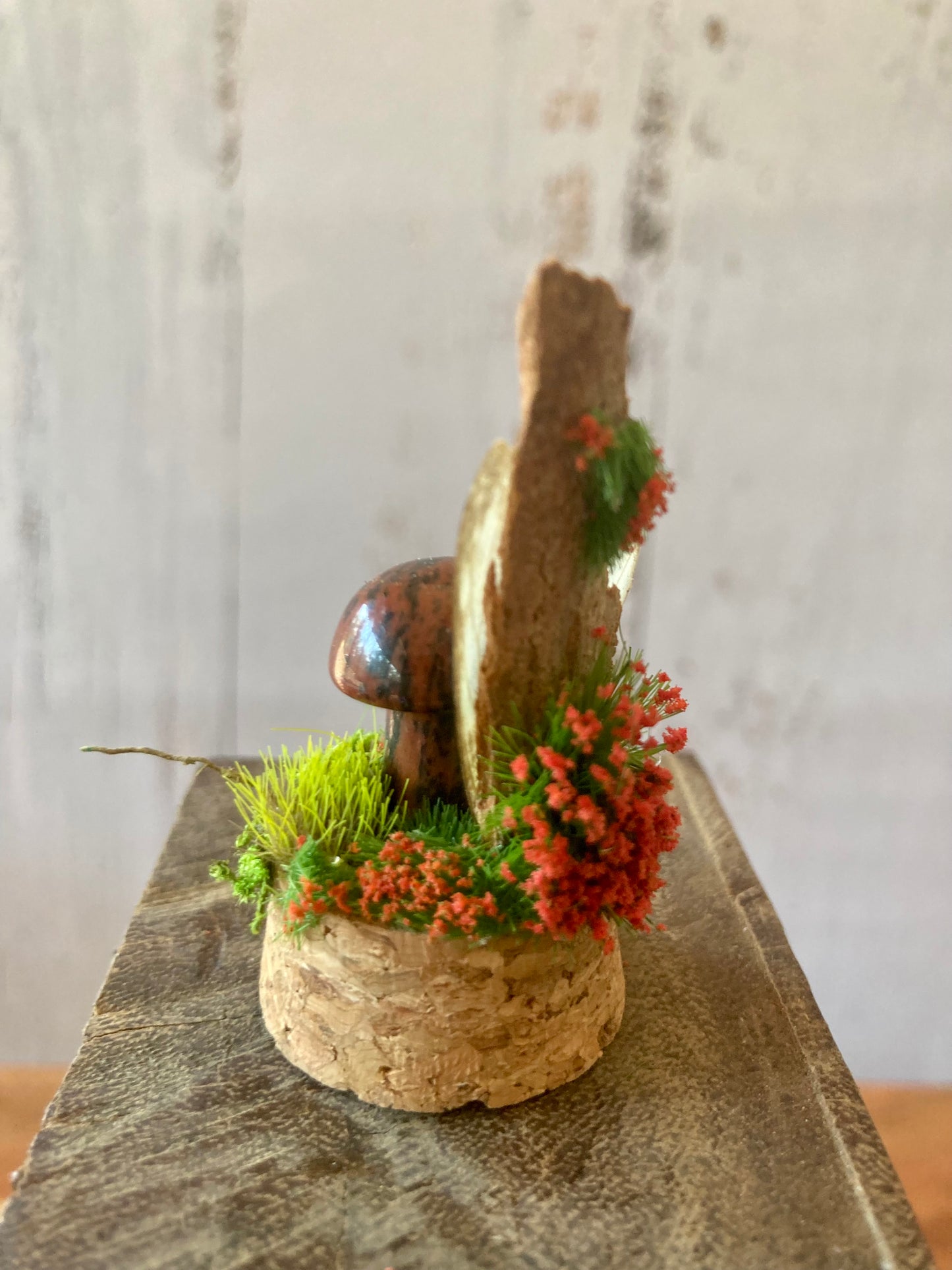 Mahogany Obsidian Mushroom terrarium