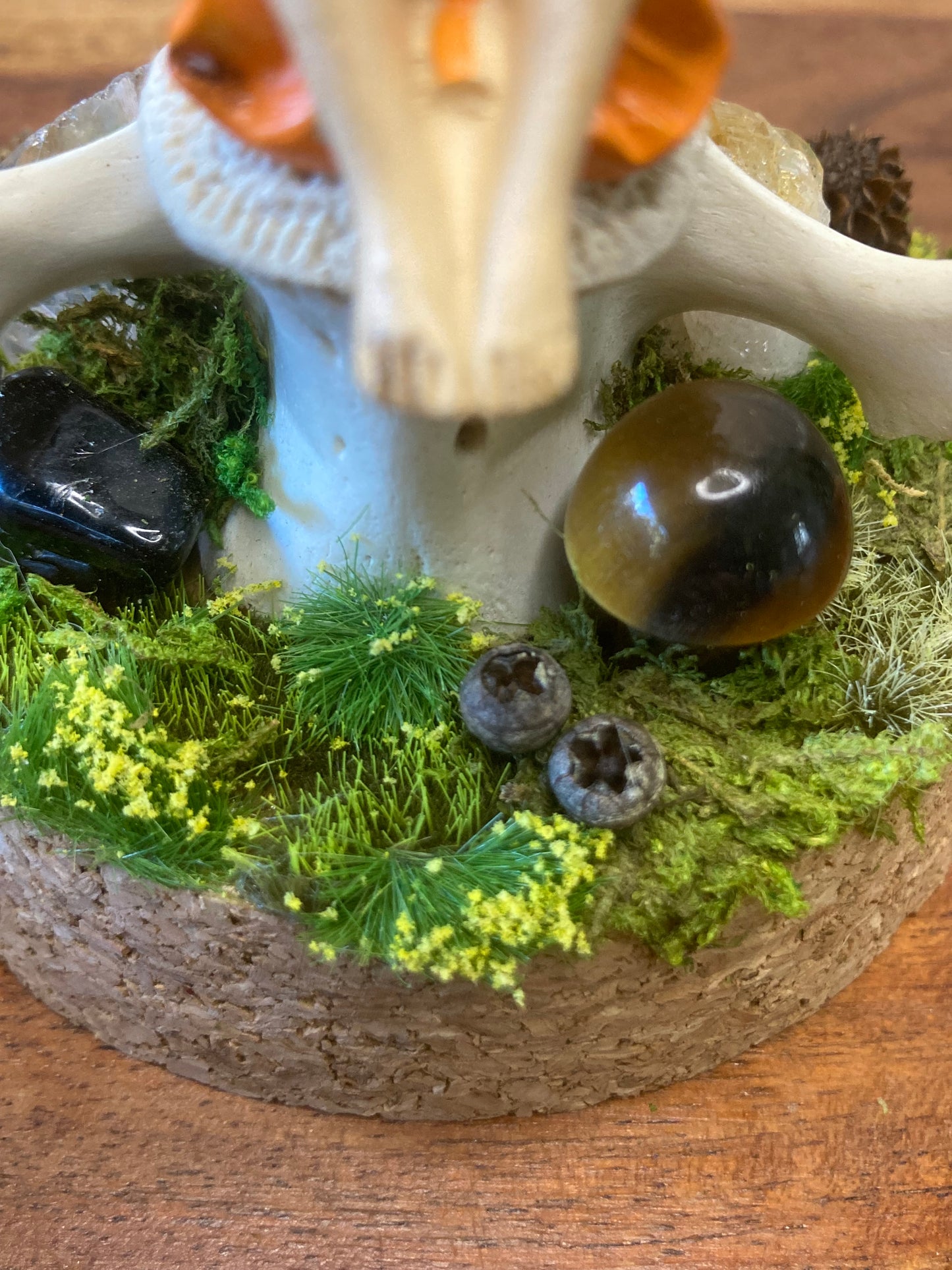 Fairy Bone Garden