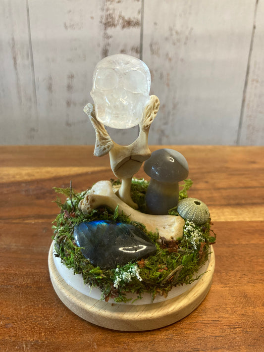 Long Neck Turtle Bone Garden