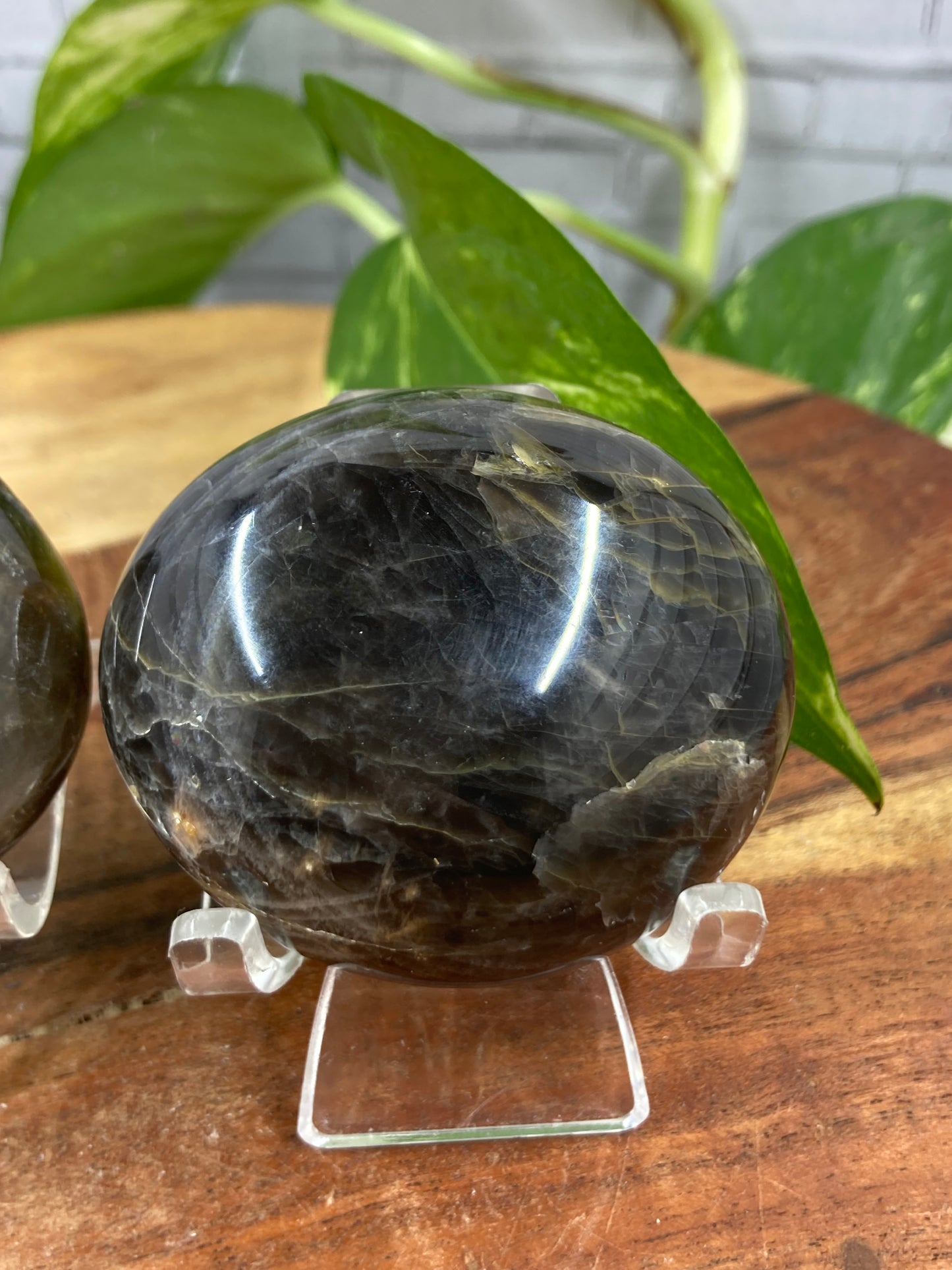 Black Moonstone Palmstone