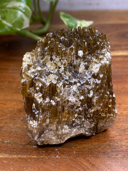 Amber Dogtooth Calcite
