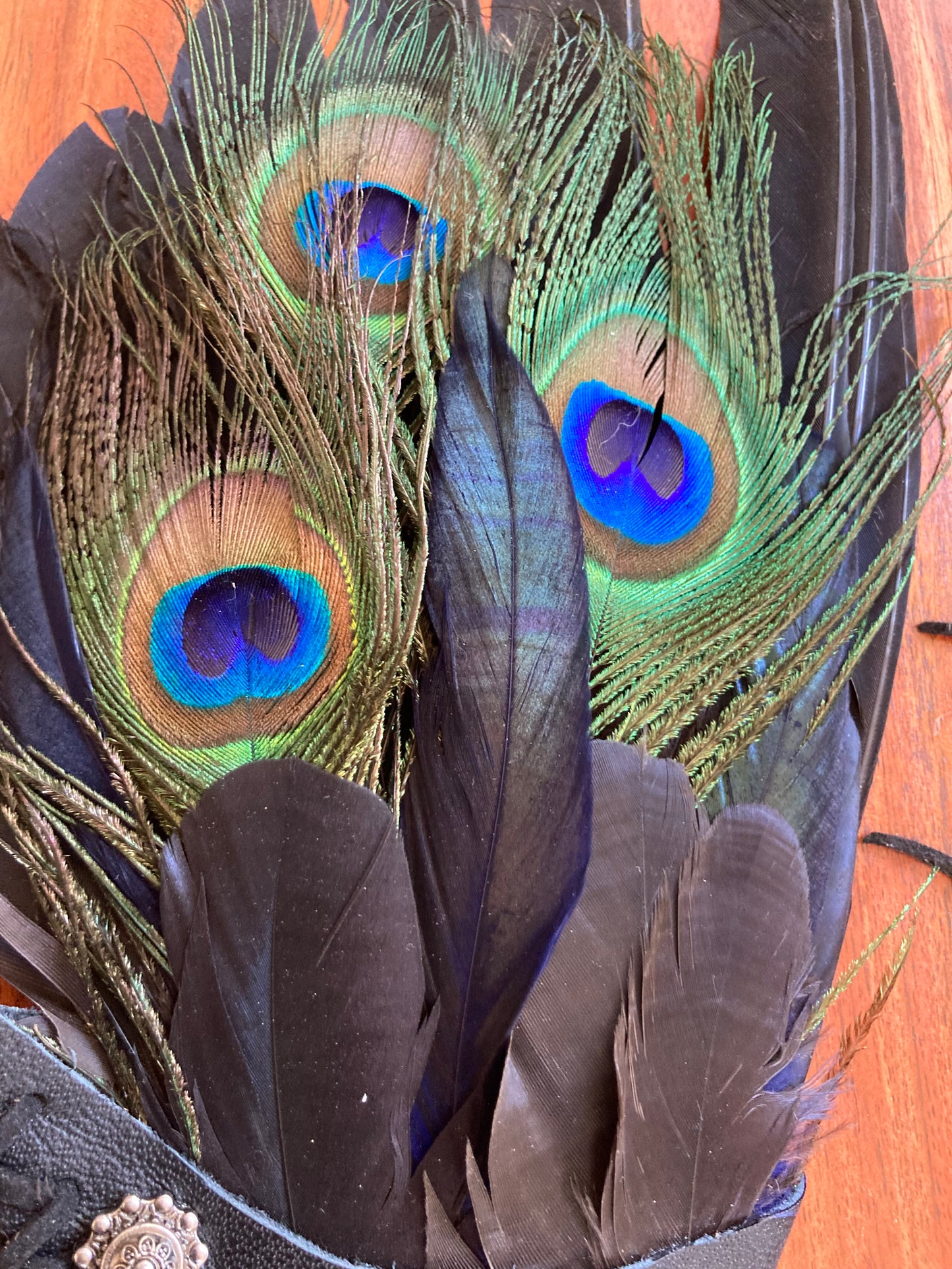 Crow with Ostrich, Rooster & Peacock Smudge Fan