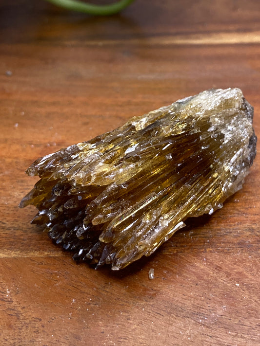 Amber Dogtooth Calcite