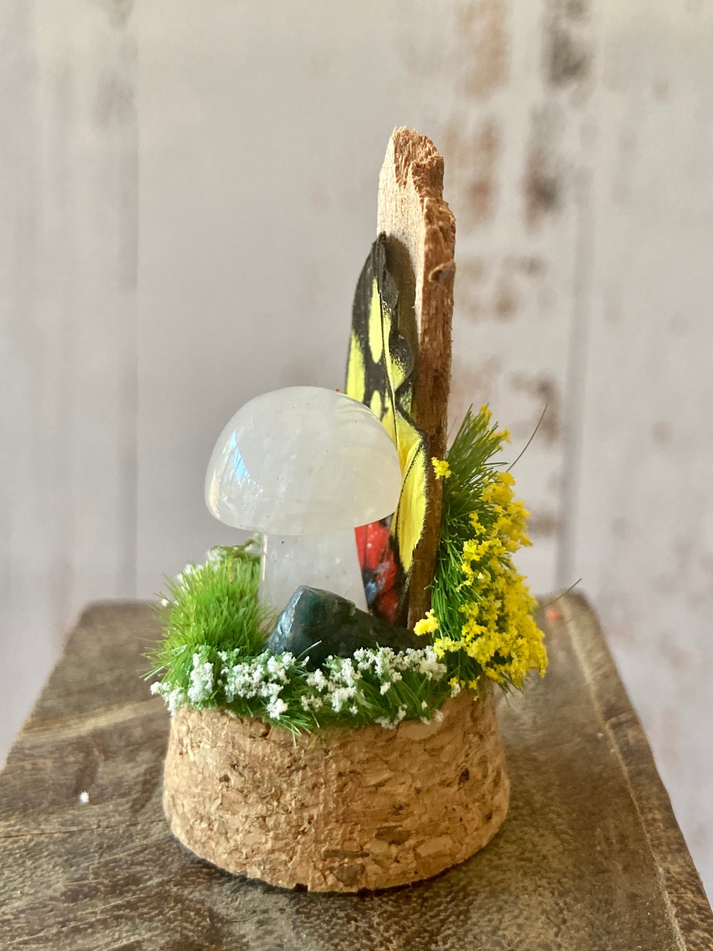 Rose Quartz Mushroom terrarium