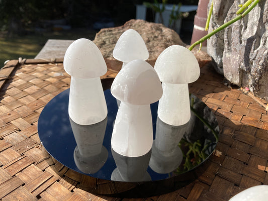 Selenite Mushroom