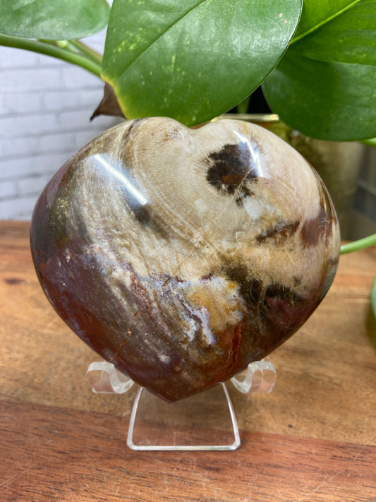 Petrified Wood Heart