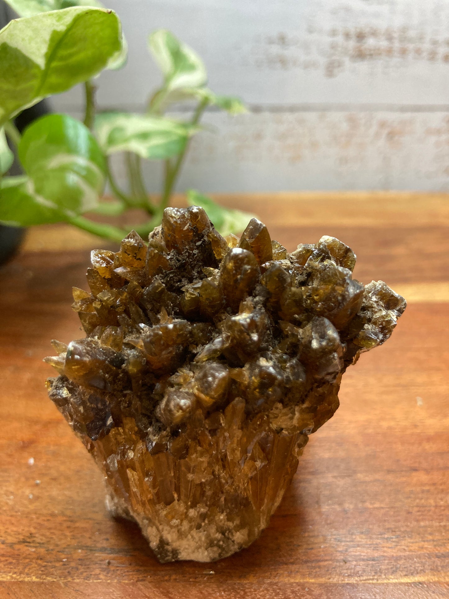 Amber Dogtooth Calcite